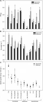 Taxon- and Growth Phase-Specific Antioxidant Production by Chlorophyte, Bacillariophyte, and Haptophyte Strains Isolated From Tropical Waters